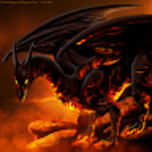 Meet your Posher, Jarod